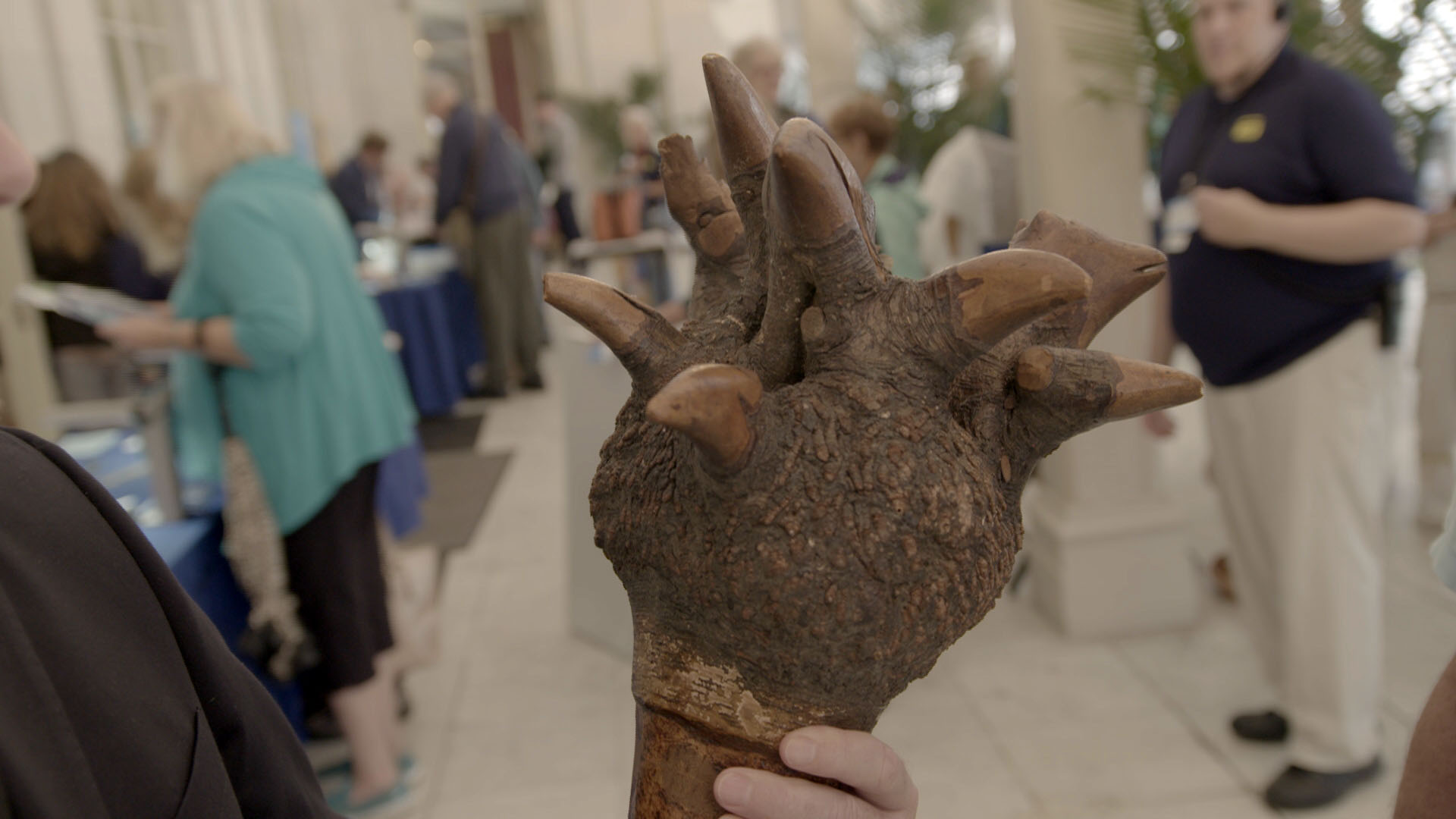 Penobscot Carved Root Club, ca. 1850 | Antiques Roadshow | PBS