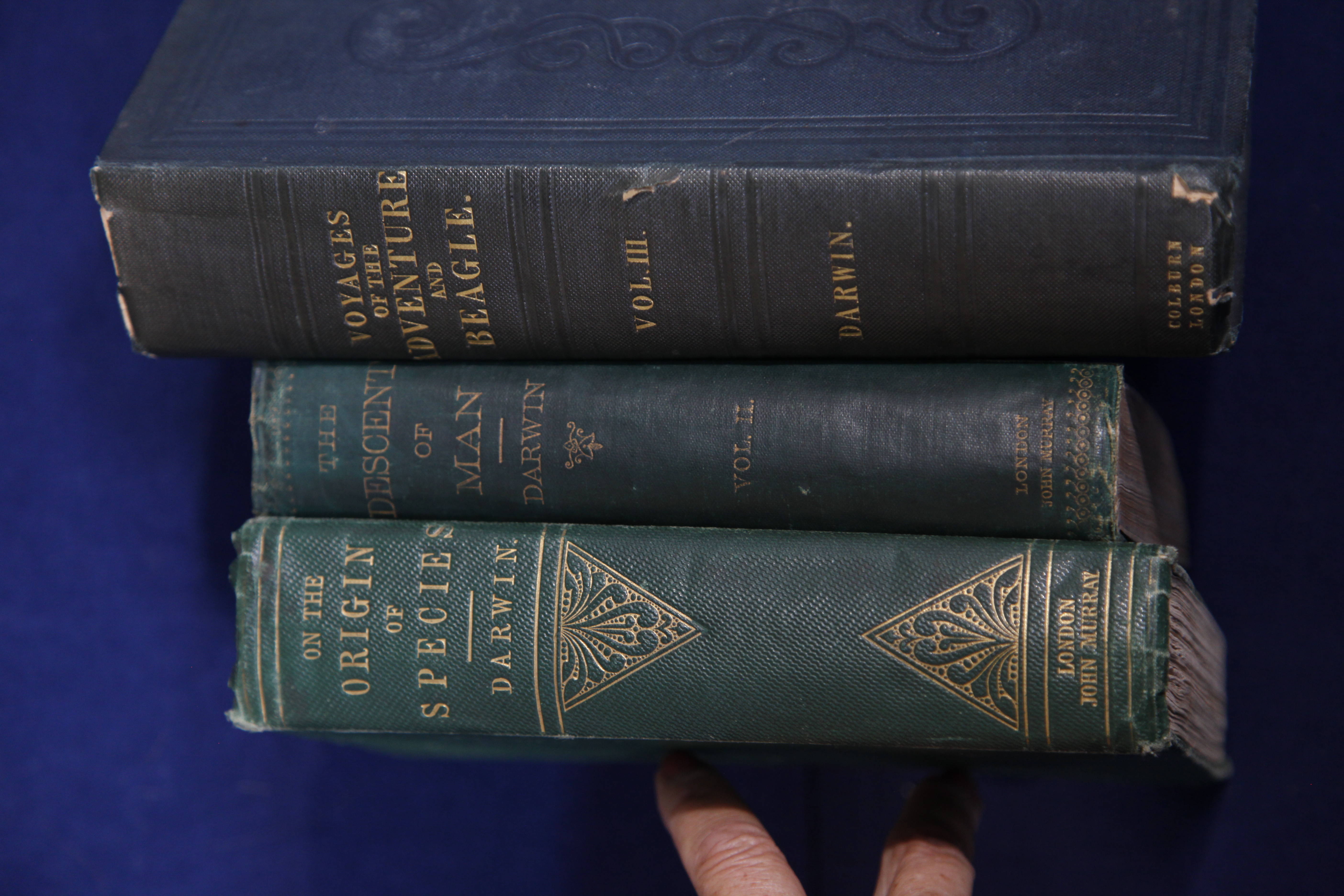 Antiques Roadshow | PBS