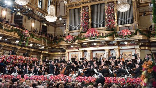 Vienna Phliharmonic New Year's Concert. Photo Terry Linke