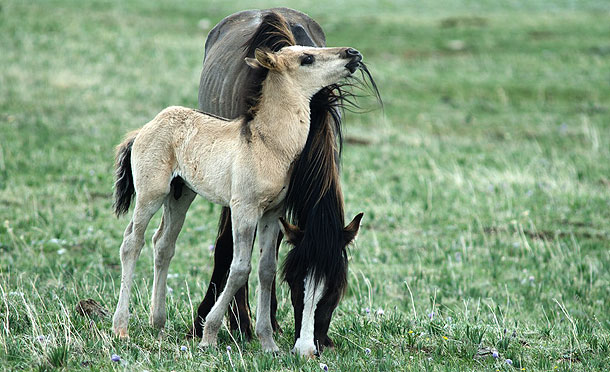 610_cloudblog_family