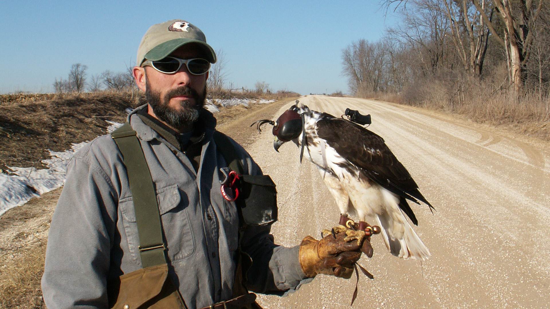 Raptor Force | About | Nature | PBS