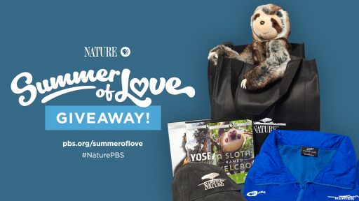 Summer of Love Giveaway