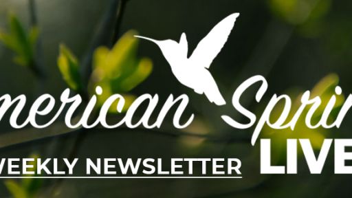 ASL-Newsletter