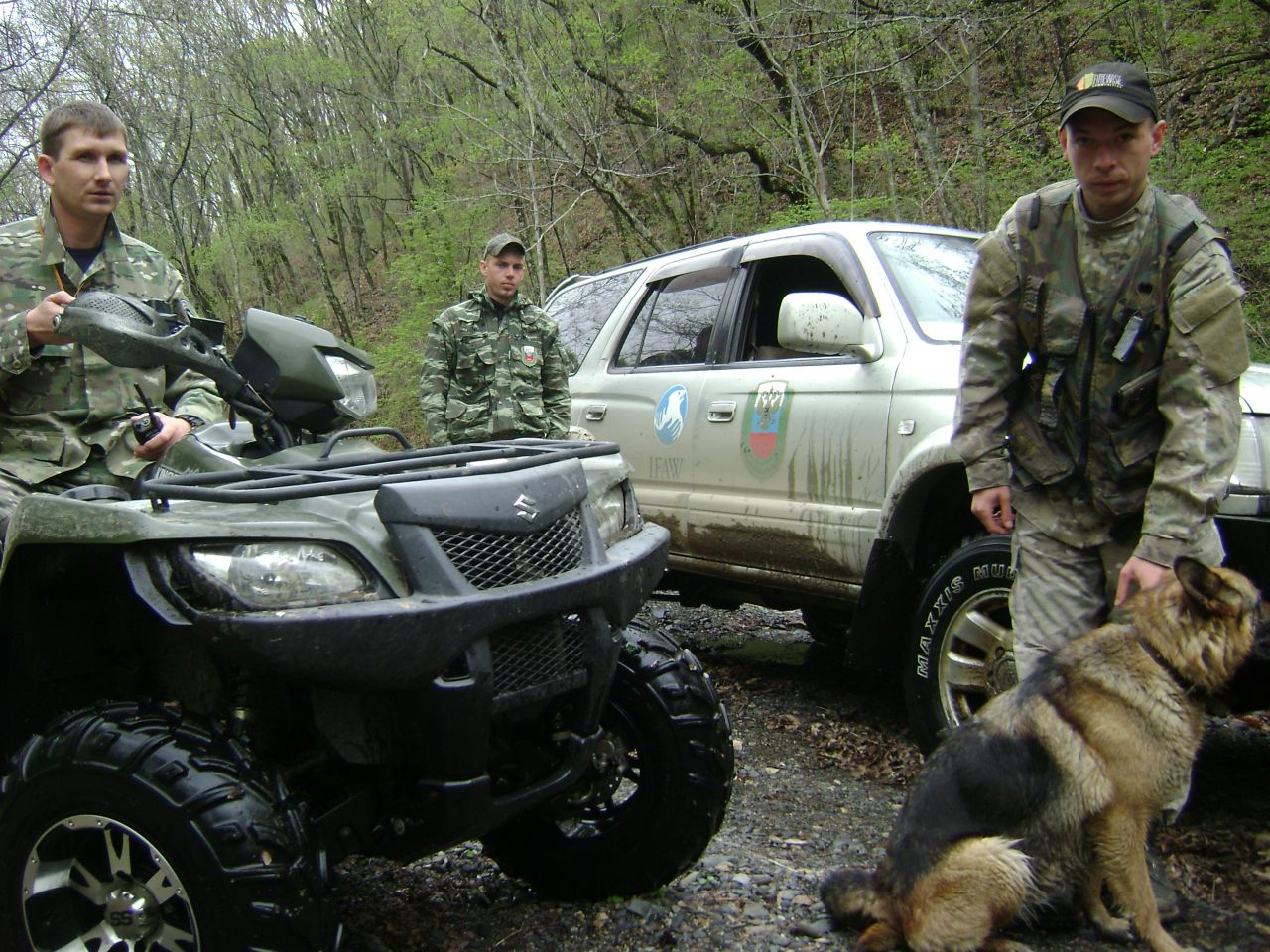 Protecting Tigers in the Russian Far East, Zheny Stoma Is a “Ranger’s ...