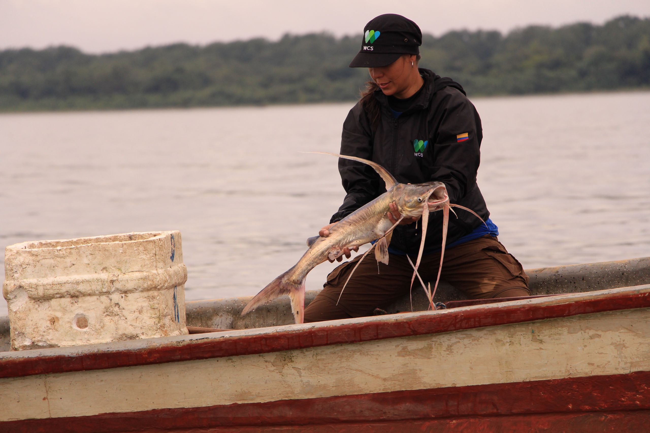 Working with Local Communities to Conserve Colombia's Pacific Coast | Blog | Nature - Vimarsana News