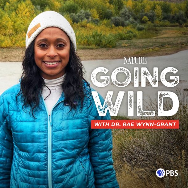 Nature Wynn-Grant Wild | | Podcast A with Toddler Jaguars Tracking With Going Dr. | Rae