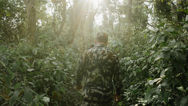 Support for Rangers Is Critical to Meet Tiger Recovery Goals and ...