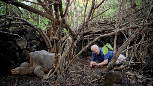 Attenborough s Life Journey About Nature PBS