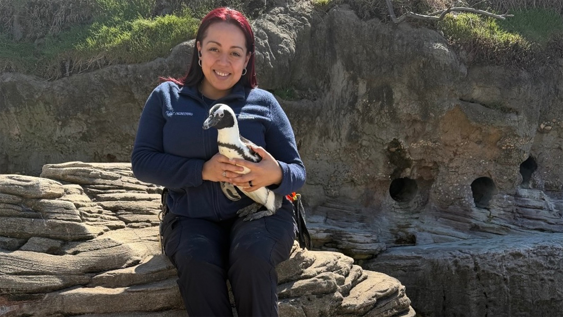 Platooning into a Rewarding Conservation Career | Blog | Nature | PBS