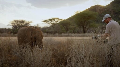 Baby Steps | Becoming Elephant: The Orphans of Reteti -- How They Filmed Orphaned Elephants at Reteti