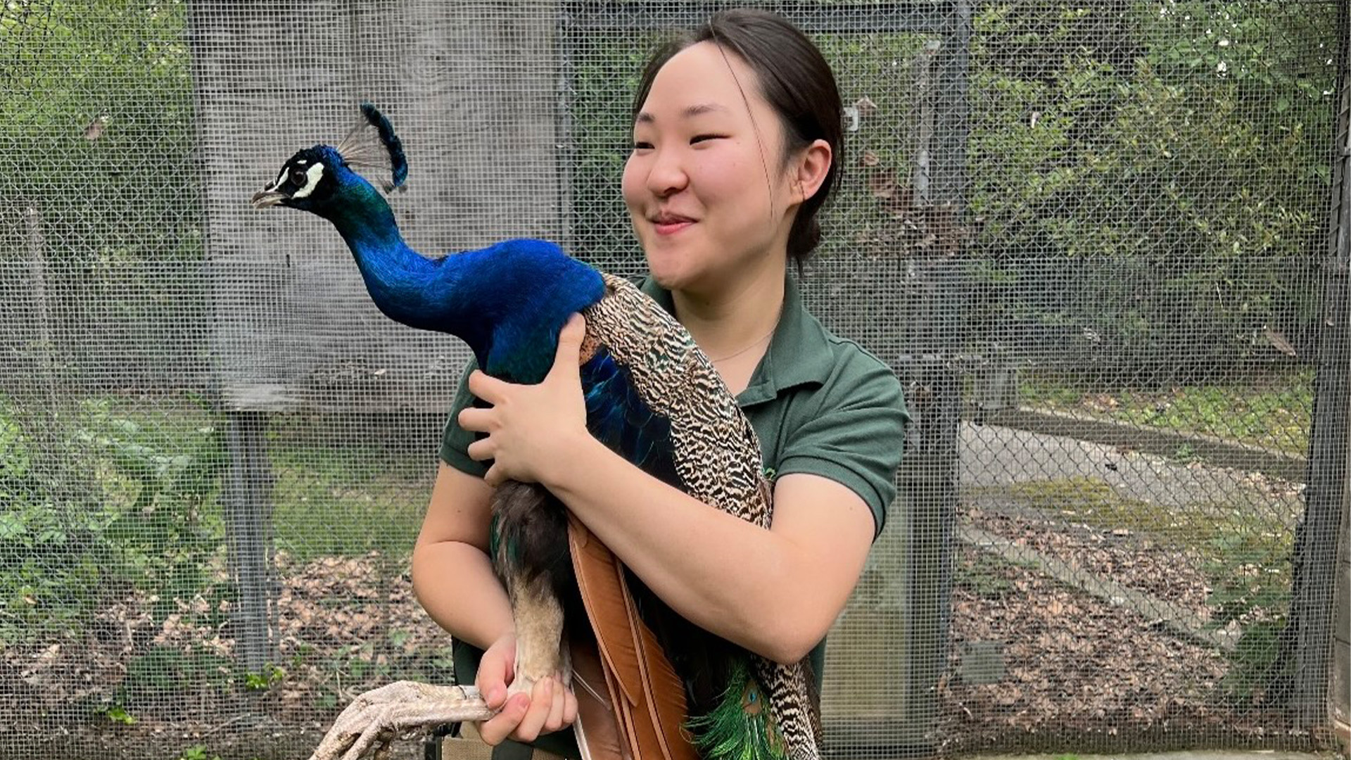 How a Wild Animal Keeper Found Her Own Niche | Blog | Nature | PBS
