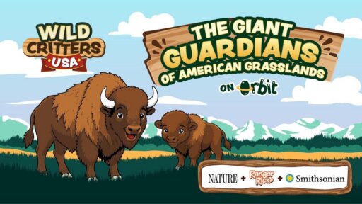 The Fluffy Guardians of American Grasslands | Wild Critters USA