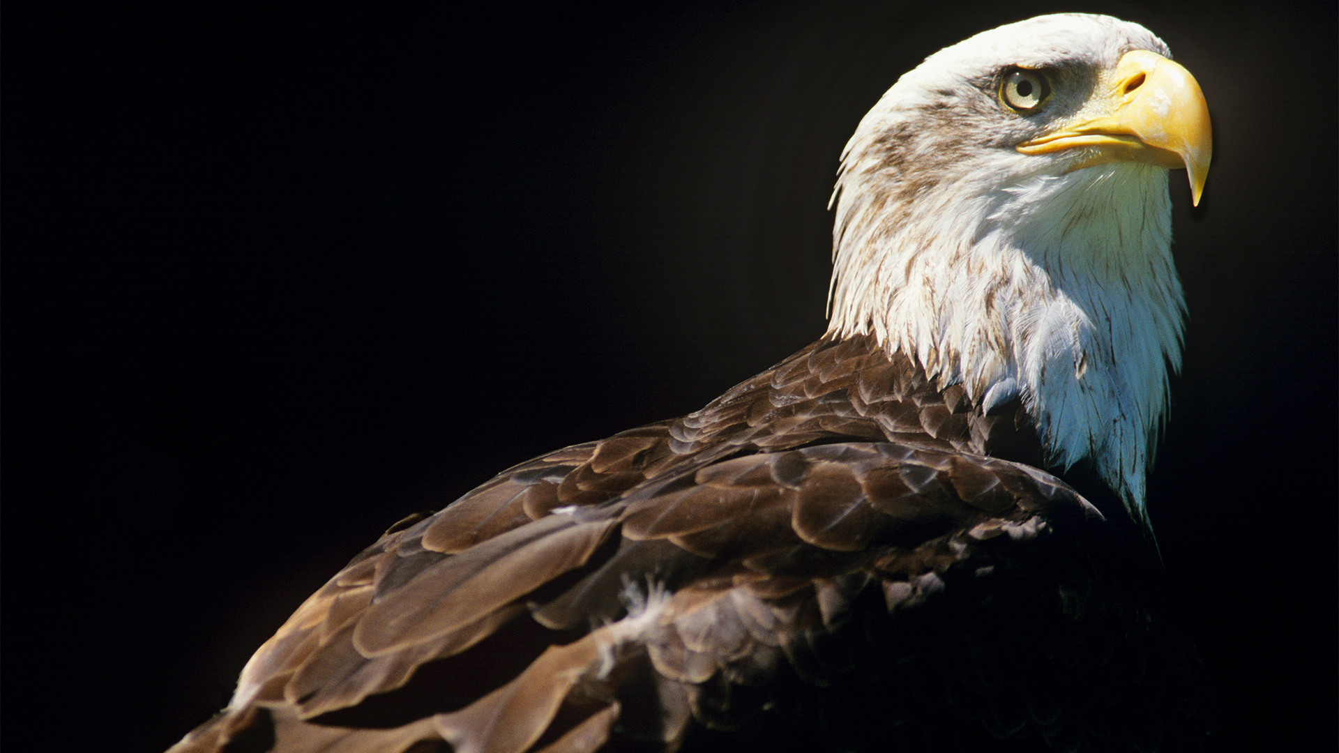 Inherit the Wild: Preserving America’s Natural Legacy for 250 Years