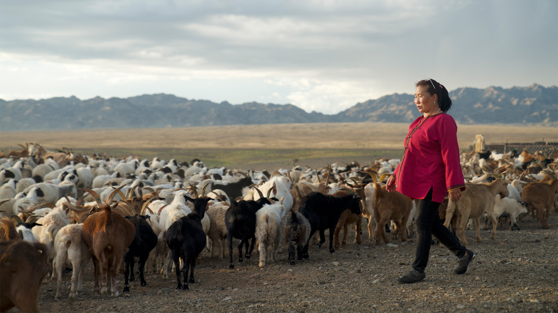 What the World Can Learn from Mongolia’s Drylands