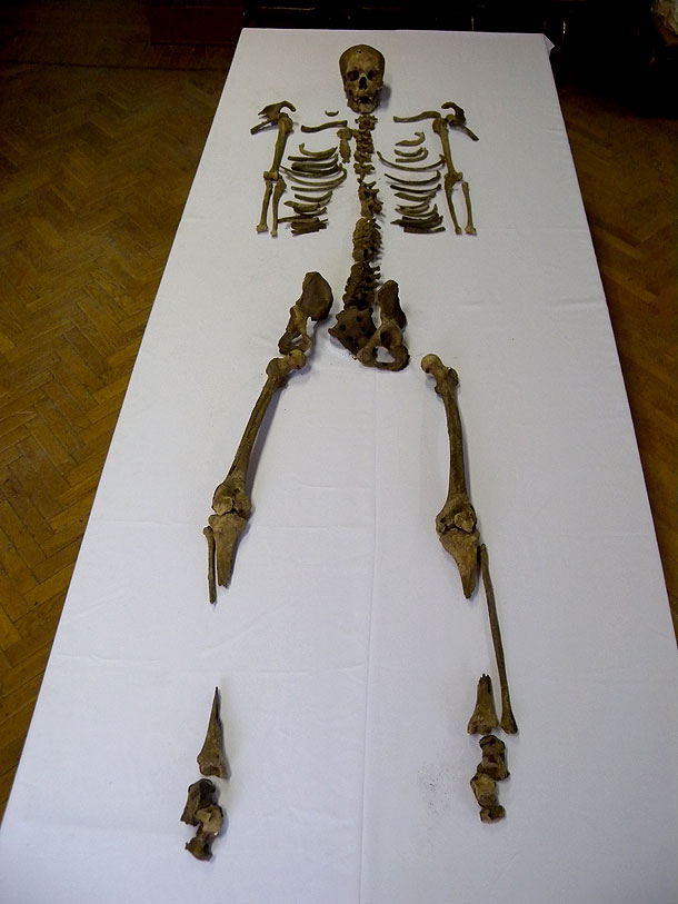 Skeleton of Psusennes
