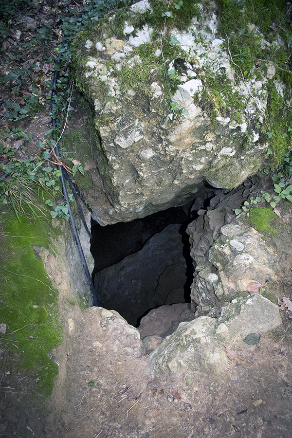 Main entrance of the  El Sidrón cave system