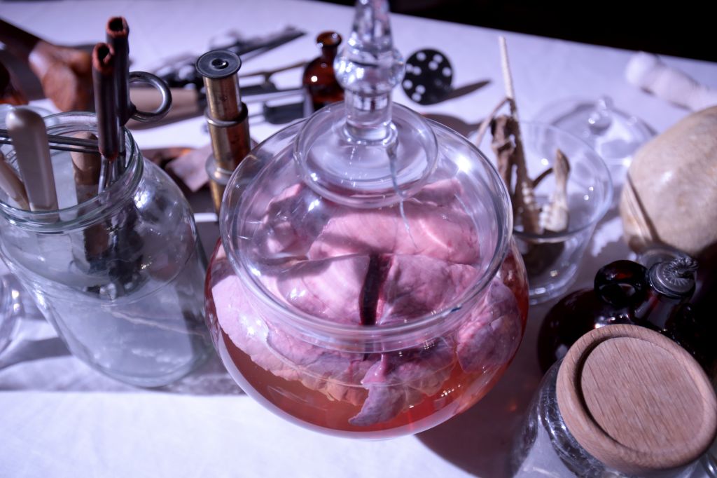 Reconstruction - Organs for dissection and surgical implements