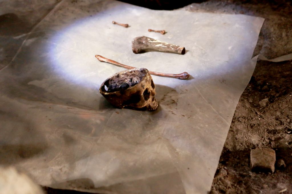 Reconstruction - The bones laid out for inspection. 