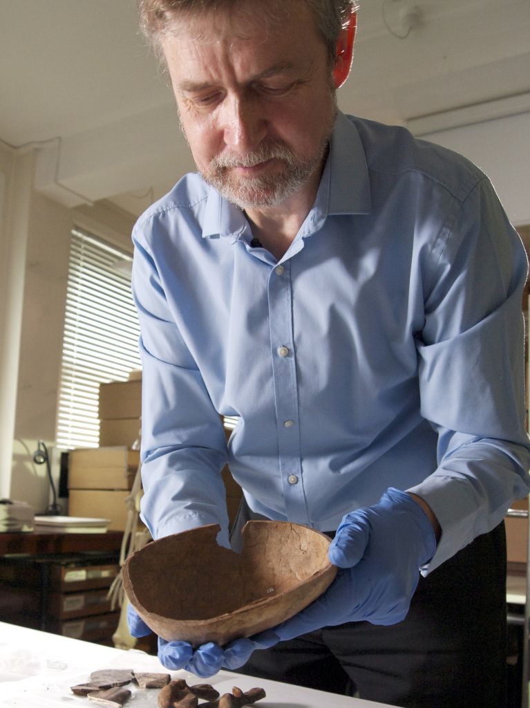 Professor Simon Hillson