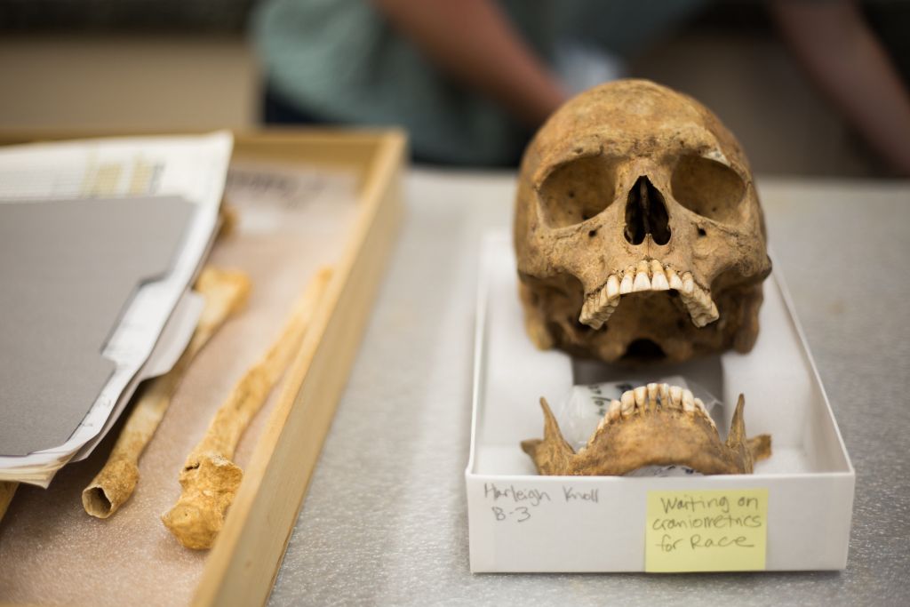 Secrets of the Dead: Jamestown’s Dark Winter