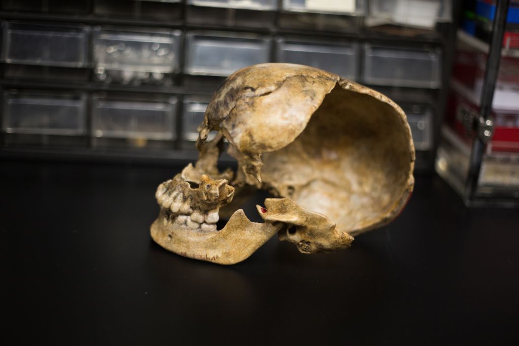 Secrets of the Dead: Jamestown’s Dark Winter