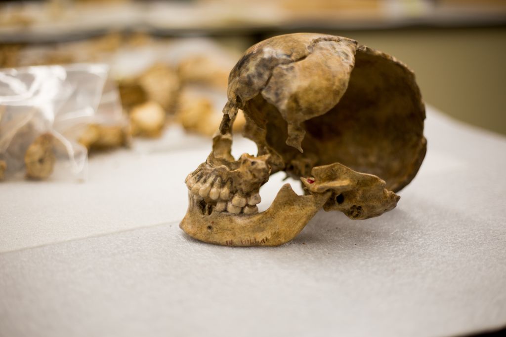 Secrets of the Dead: Jamestown’s Dark Winter