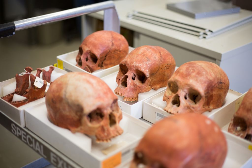 Secrets of the Dead: Jamestown’s Dark Winter