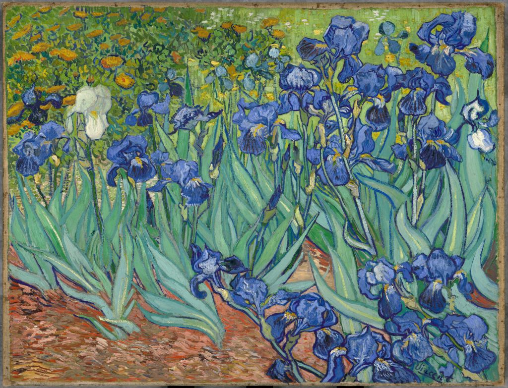 Irises, 1889