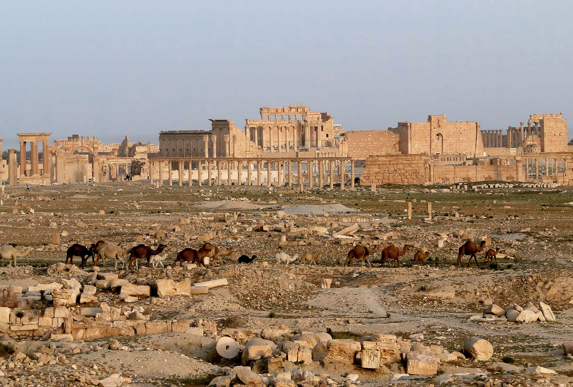 he ruins of Palmyra in 2010