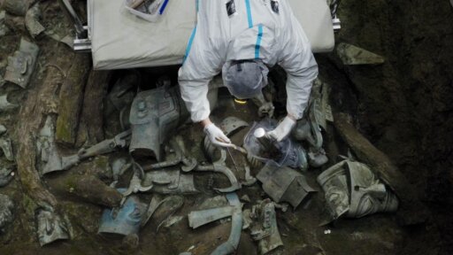 China's Bronze Kingdom -- Inside the Ancient Capital of the Shu Kingdom